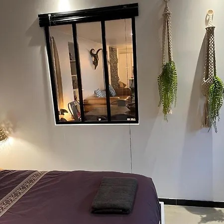 Saint Charles 3 Pieces De Standing Avec Terrasse Appartement