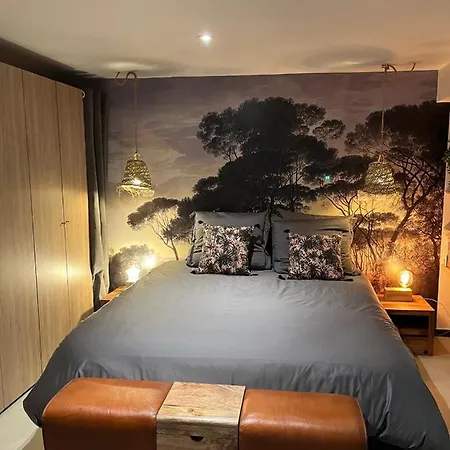 Appartement Saint Charles 3 Pieces De Standing Avec Terrasse